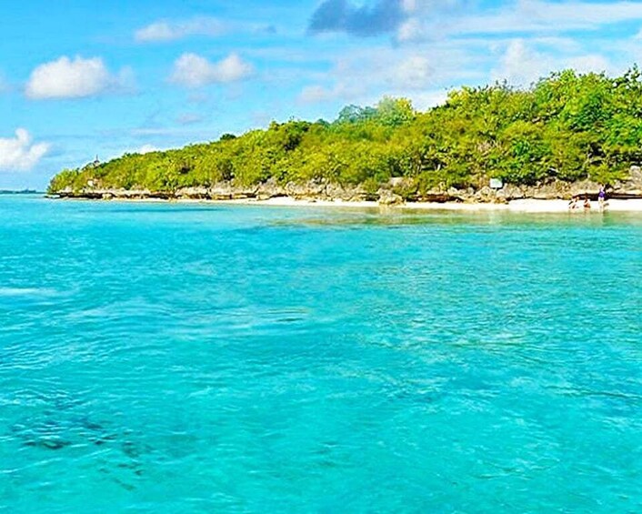 Picture 6 for Activity Ile aux Aigrettes Reserve & Blue Bay Glass Bottom Boat