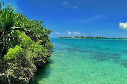 Réserve de l'Ile aux Aigrettes et Bateau à fond de verre Blue Bay