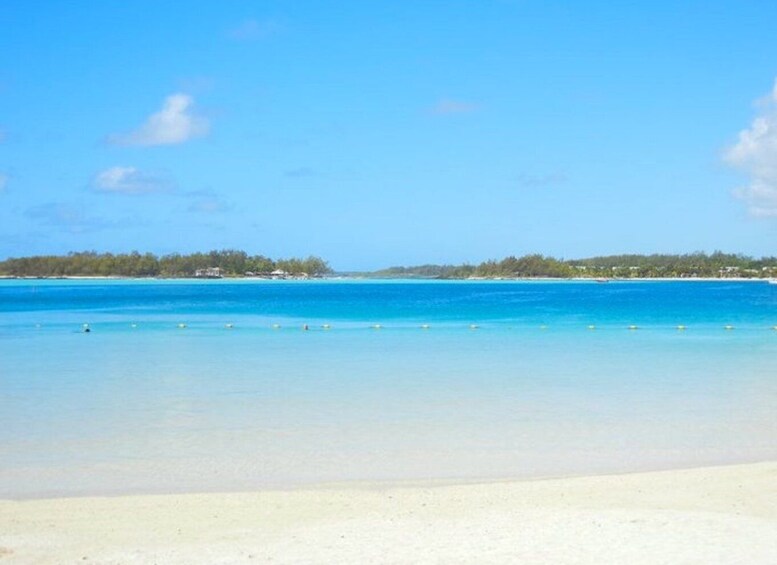 Picture 7 for Activity Ile aux Aigrettes Reserve & Blue Bay Glass Bottom Boat