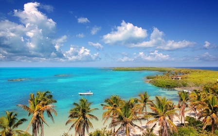 Desde Cancún: tour de un día a Contoy e Isla Mujeres