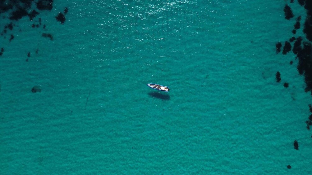 Picture 5 for Activity Nice: Lerins Islands Boat Tour with Snorkeling