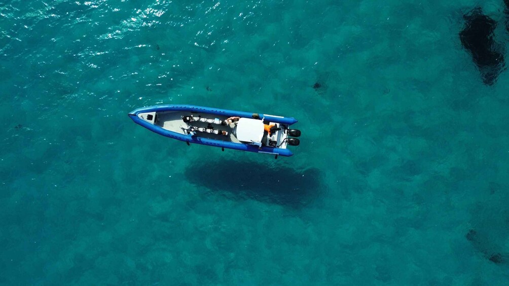 Picture 6 for Activity Nice: Lerins Islands Boat Tour with Snorkeling