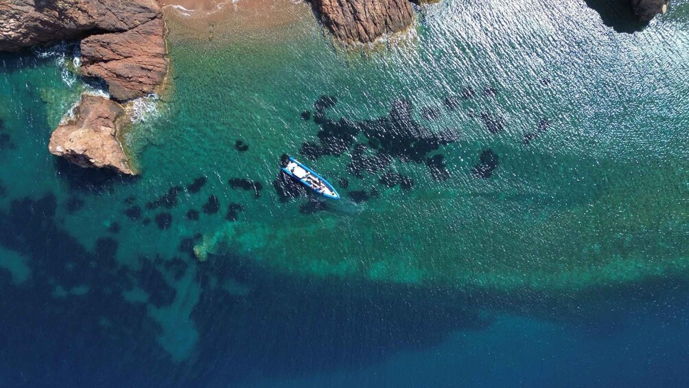 Picture 4 for Activity Nice: Lerins Islands Boat Tour with Snorkeling