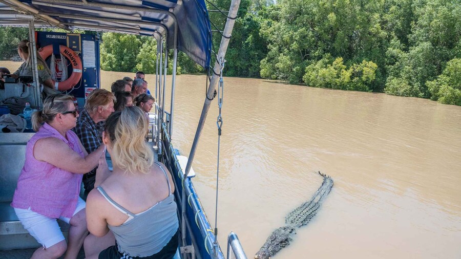 Darwin: Spectacular Jumping Crocodile Adelaide River Cruise