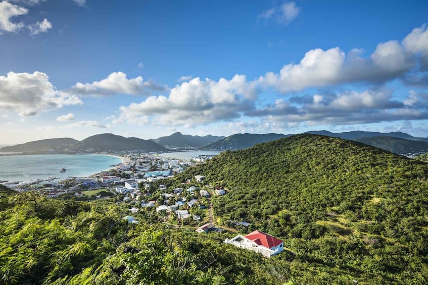 Picture 1 for Activity Half Day Private Tour in St Maarten from Philipsburg Port