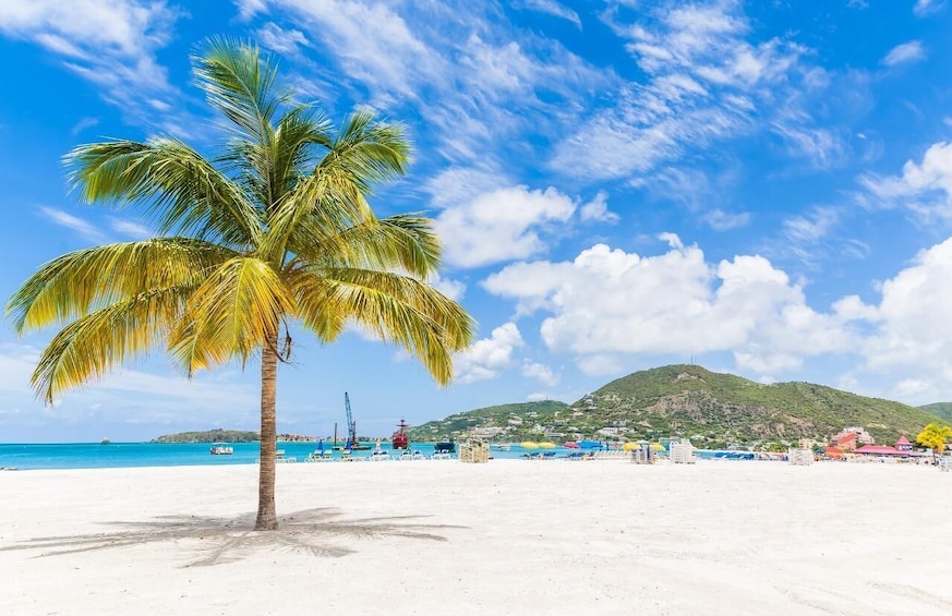 Picture 2 for Activity Half Day Private Tour in St Maarten from Philipsburg Port