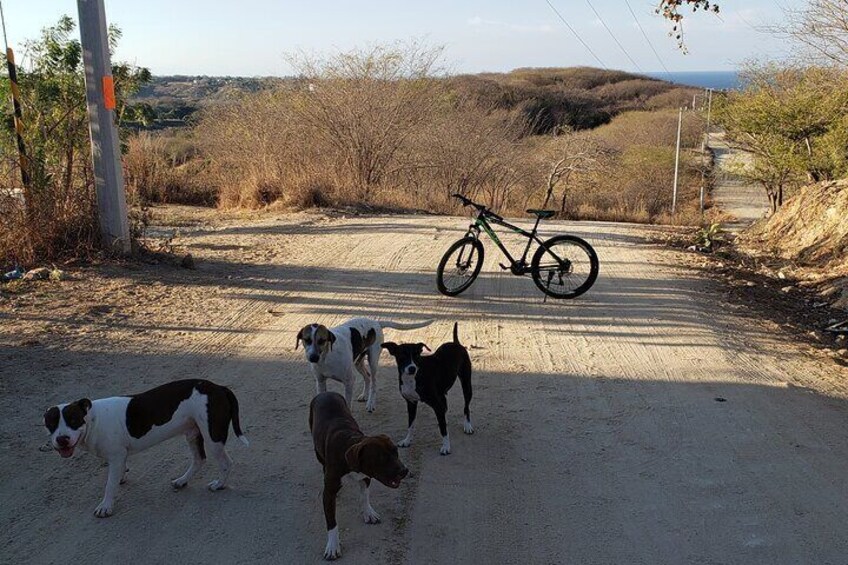 Los Naranjos Rural Communitiy