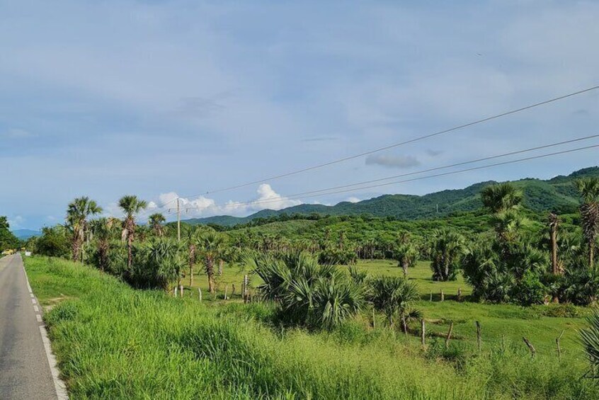 Region around Cozoaltepec