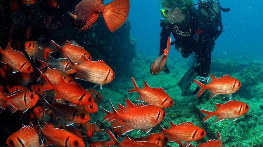 Santa Maria: Discover Scuba Diving