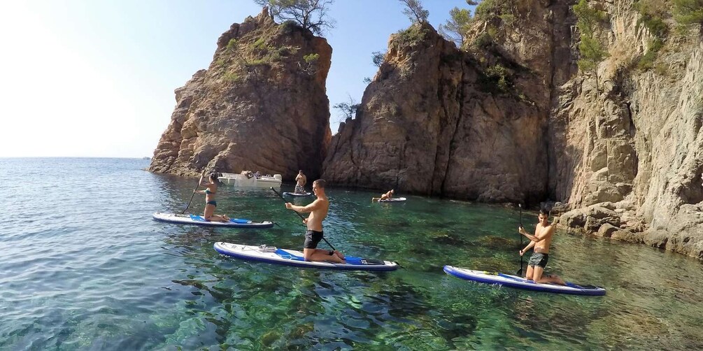 Picture 3 for Activity Tossa de Mar: Paddle Surfing and Cave Tour