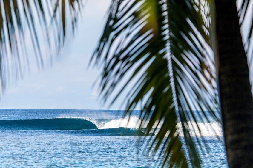 Picture 1 for Activity Tamarindo Surf: Learn and Practice Surfing in Tamarindo