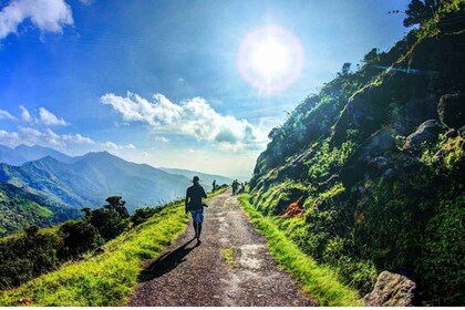 Kandy à Knuckles : Randonnée de nuit et aventure de randonnée