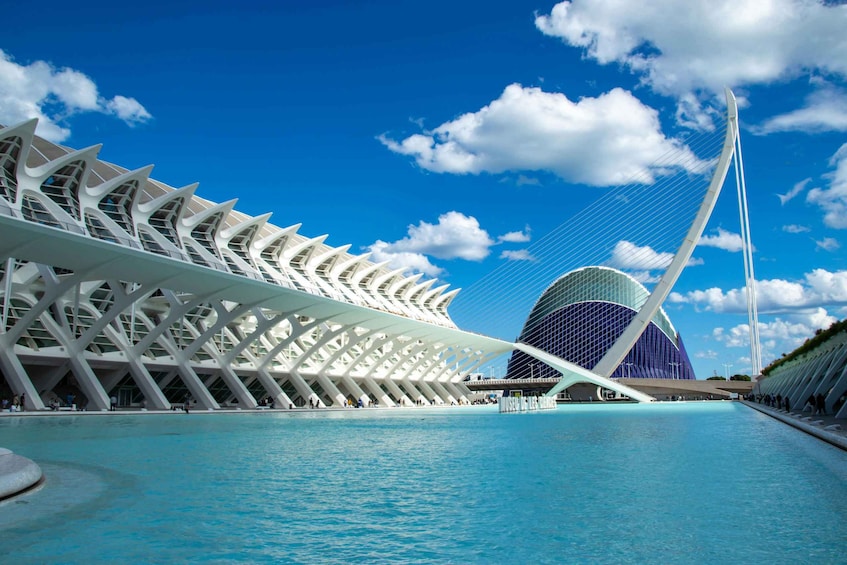 Picture 1 for Activity From Alicante visit: Valencia center