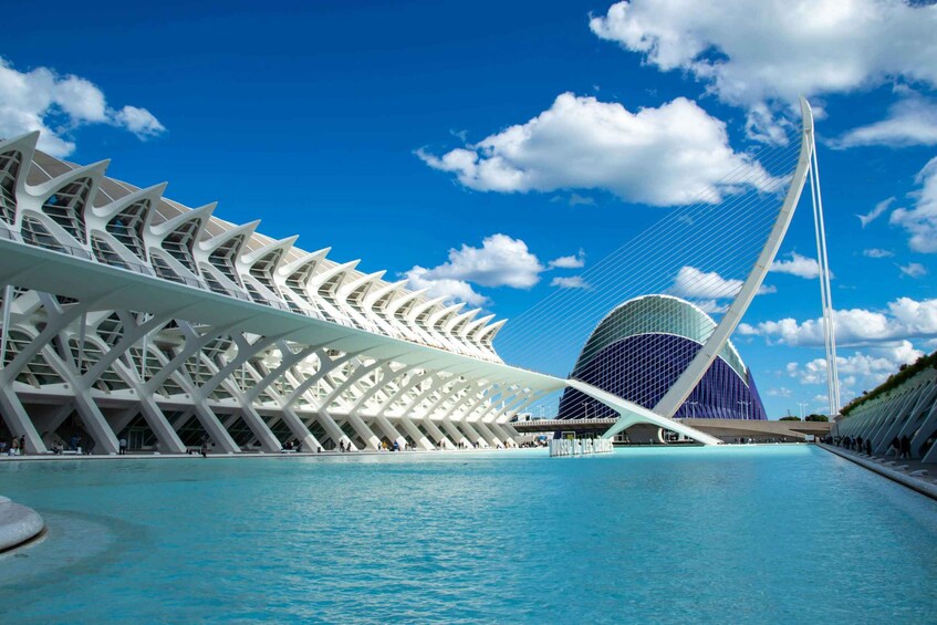 Picture 1 for Activity From Alicante visit: Valencia center
