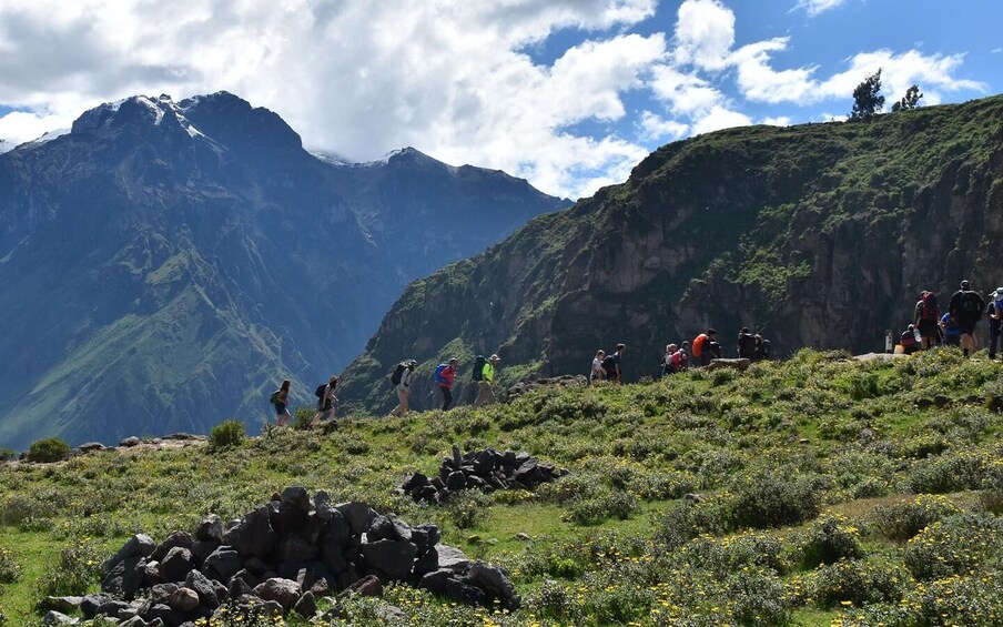 Picture 3 for Activity Arequipa: trekking to the Colca Canyon 2 days/1 night