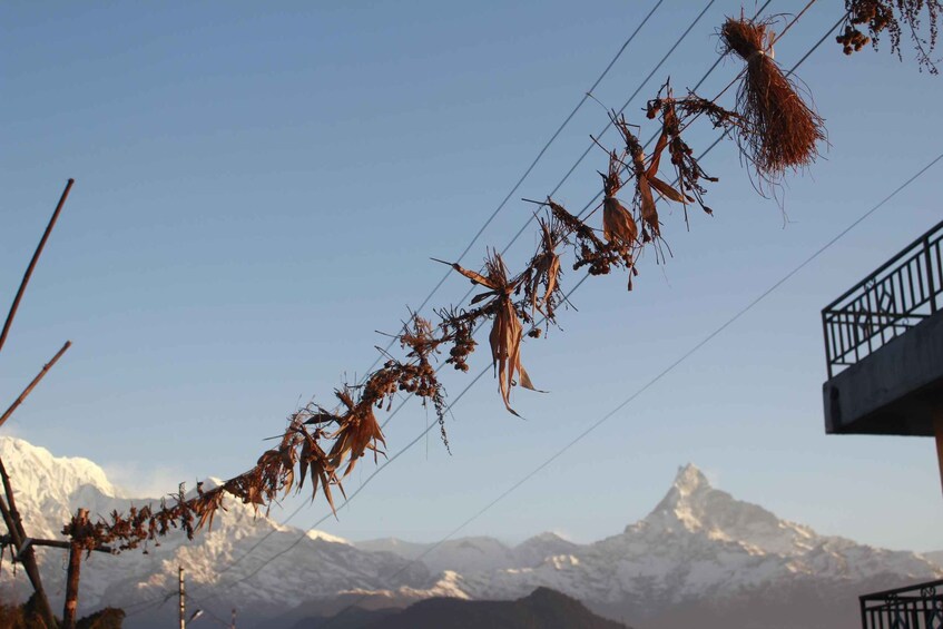 Picture 10 for Activity 1 Night 2 days Poon hill trek from pokhara