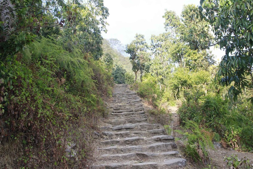 Picture 14 for Activity 1 Night 2 days Poon hill trek from pokhara