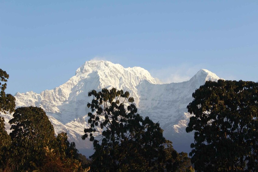 1 Night 2 days Poon hill trek from pokhara