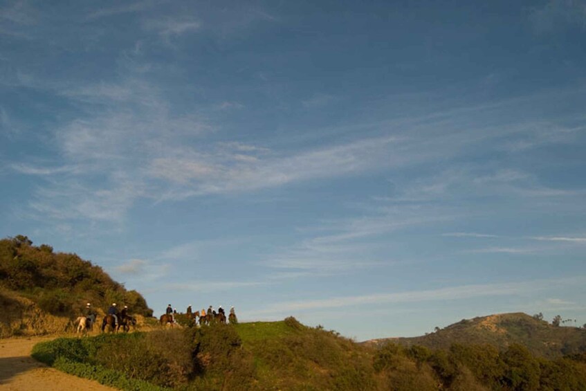 Picture 4 for Activity Los Angeles: Mulholland Trail Horseback Riding Tour