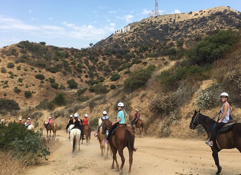 Picture 3 for Activity Los Angeles: Mulholland Trail Horseback Riding Tour