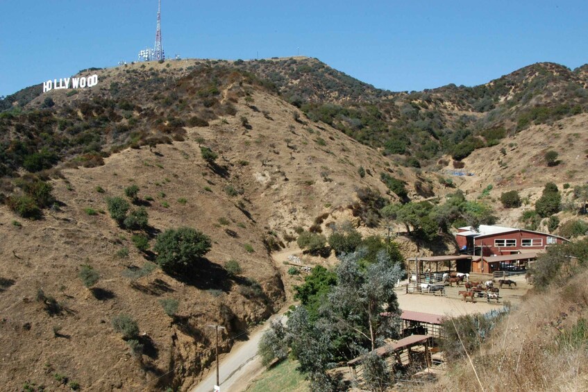 Picture 2 for Activity Los Angeles: Mulholland Trail Horseback Riding Tour