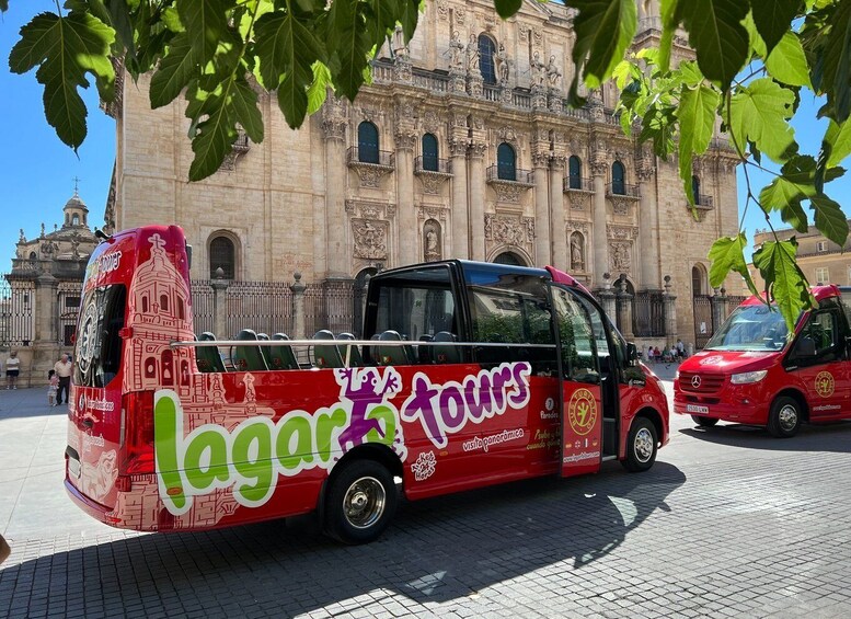 Jaén: Hop-On / Off Sightseeing Bus Tour + Olive oil tasting