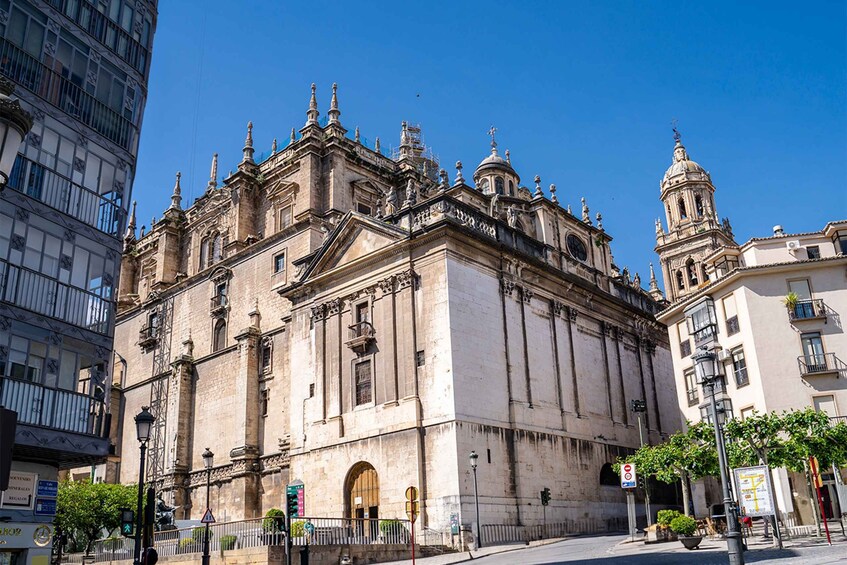 Picture 6 for Activity Jaén: Hop-On / Off Sightseeing Bus Tour + Olive oil tasting