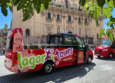Jaén: Hop-On / Off Sightseeing Bus Tour + Olive oil tasting