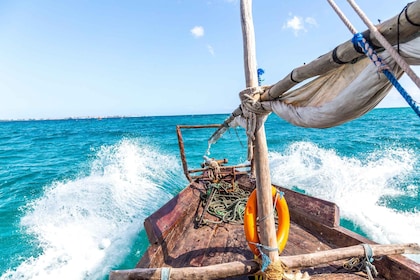 Zanzibar Dolphin tour & Snorkeling at Mnemba reef