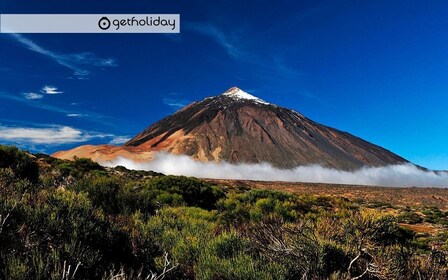 Tenerife: excursión privada de un día con traslado de ida y vuelta al hotel