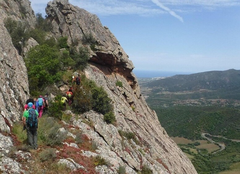 Picture 3 for Activity Sardinia, Monte Ruiu: Punta Manna Ring hiking guided tour