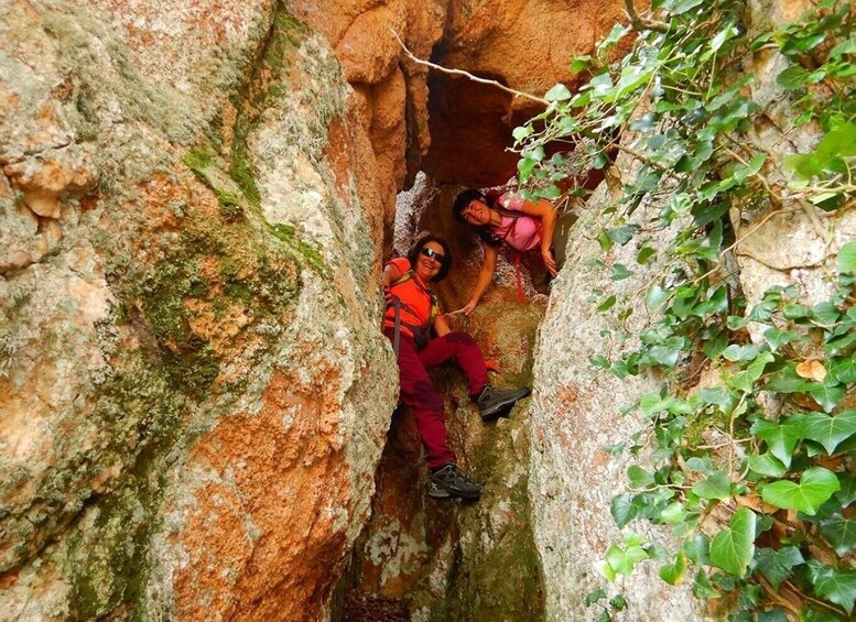 Picture 5 for Activity Sardinia, Monte Ruiu: Punta Manna Ring hiking guided tour