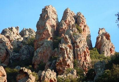 Sardinia, Monte Ruiu: Punta Manna Ring hiking guided tour