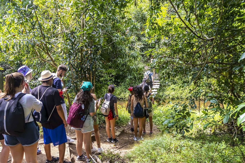 Picture 15 for Activity Shimba Hills Day Safari & Sheldrick Falls Hike Private Tour