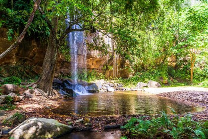 Shimba Hills Day Safari & Sheldrick Falls Hike Private Tour