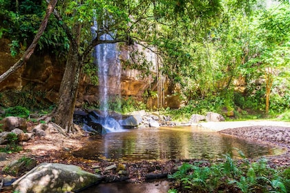 Shimba Hills Day Safari & Sheldrick Falls Hike Private Tour