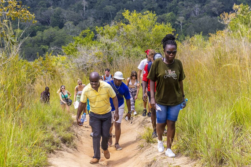 Picture 24 for Activity Shimba Hills Day Safari & Sheldrick Falls Hike Private Tour