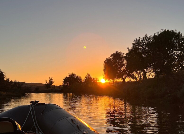 Picture 15 for Activity From Portimão: Arade River Boat Tour to Silves Medieval Town