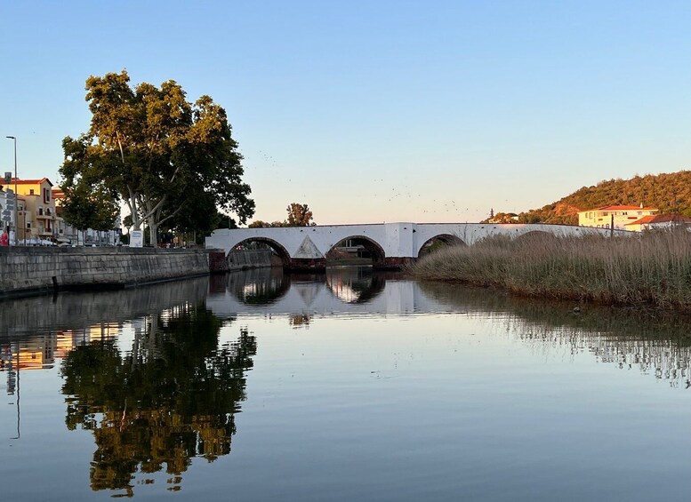 Picture 18 for Activity From Portimão: Arade River Boat Tour to Silves Medieval Town