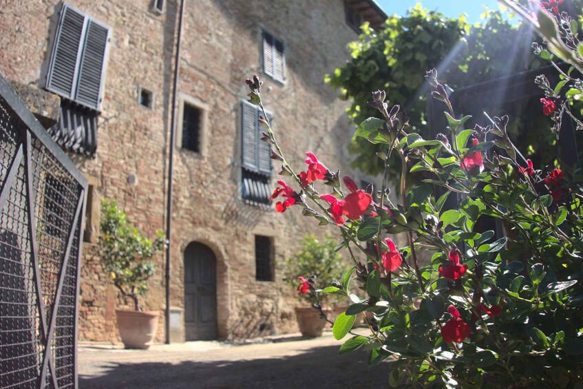 Picture 3 for Activity Organic Wine and Food Tasting at Fattoria Majnoni