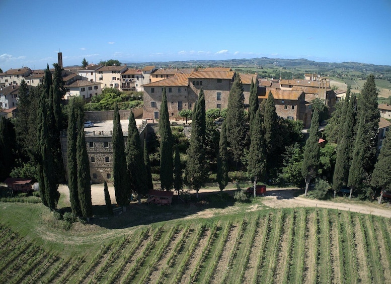 Organic Wine and Food Tasting at Fattoria Majnoni