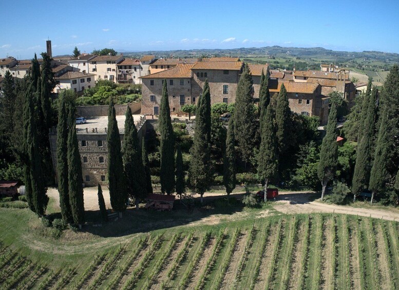 Organic Wine and Food Tasting at Fattoria Majnoni