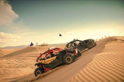 Doha: Quad bike/Buggy, Desert Tour, Camel Ride, SandBoarding