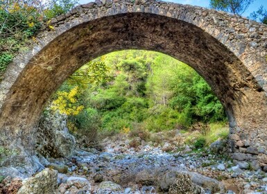 Depuis Kalamata : Randonnée dans les gorges de Ridomo excursion avec baigna...