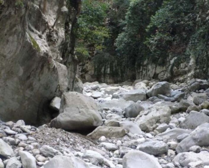 Picture 4 for Activity From Kalamata: Ridomo Gorge Hiking Tour with Beach Swim