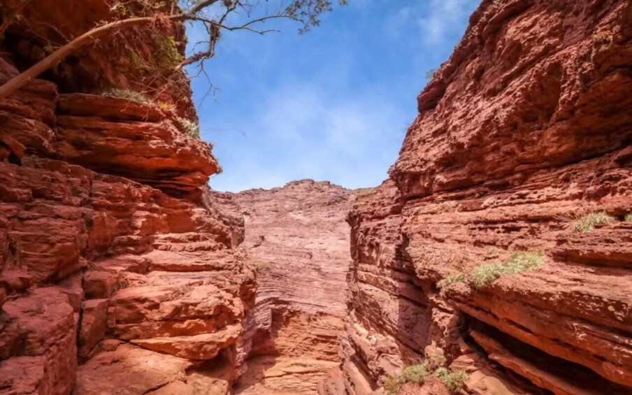 Picture 40 for Activity From Salta: Cafayate, Cachi and Salinas Grandes in 3 days