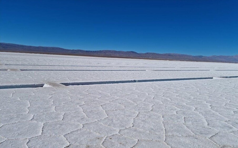 Picture 85 for Activity From Salta: Cafayate, Cachi and Salinas Grandes in 3 days