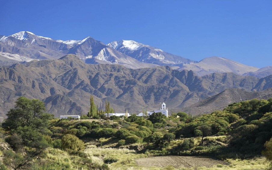 Picture 28 for Activity From Salta: Cafayate, Cachi and Salinas Grandes in 3 days