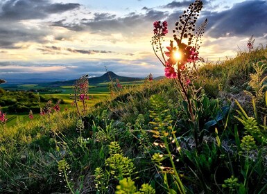 Prag: Bohemian Uplands Granat Panning&Animal Farm 4WD Tour