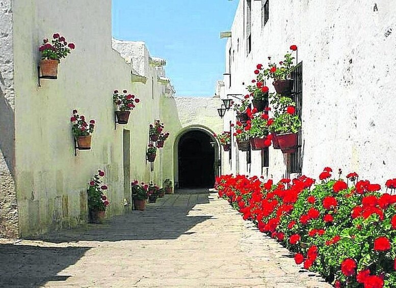 Picture 5 for Activity Guided in Arequipa and the monastery of Santa Catalina